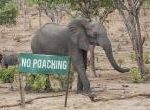 Poachers targeted using innovative tech