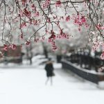 ‘Very unusual’: Cold Arctic air set to hit Eastern US with record-low temperatures in May