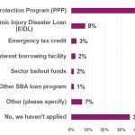 PPP provides a lifeline, but more may be needed