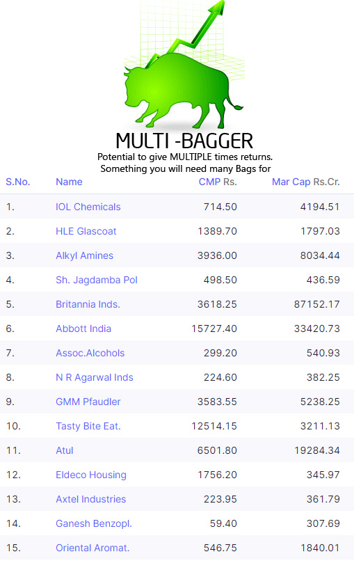 potential multibagger stocks 2021