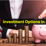 11 Best NRI Investment Options In India [with High Return Investments]