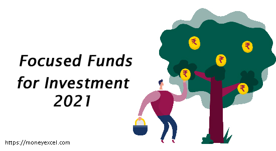 Focused Fund 