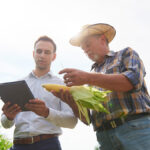 The Farming Business’s Guide to Agricultural Accounting
