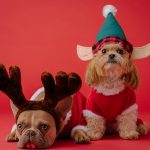 Tips to increase holiday engagement