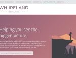WH Ireland slips into the red